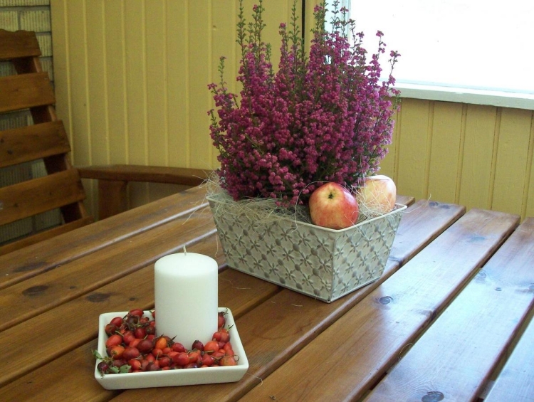 plantes-automne-déco-table-arrangement-bruyère-calluna-pommes-baies-églantier