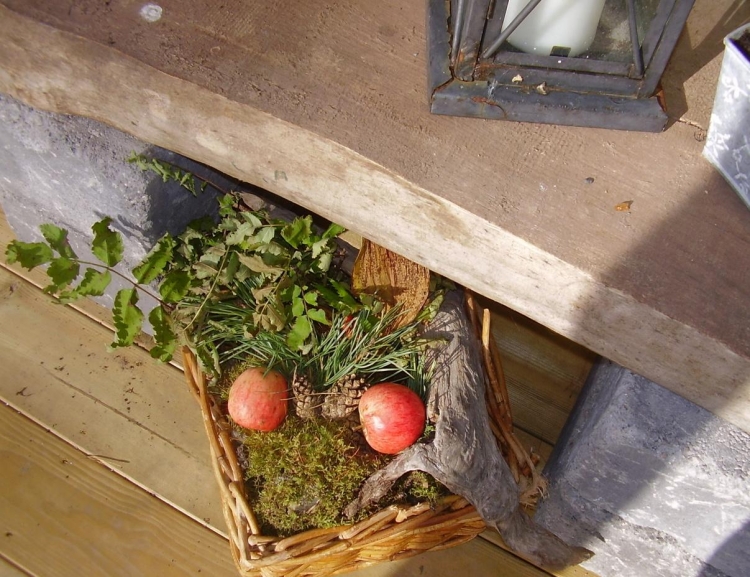 plantes-automne-décoration-arrangement-pommes-cône-pin-feuilles-vertes-mousse