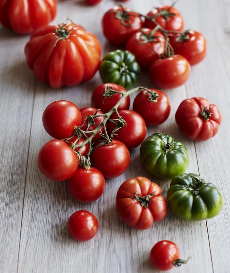 variétés tomates ingrédient recettes végétariennes automnale