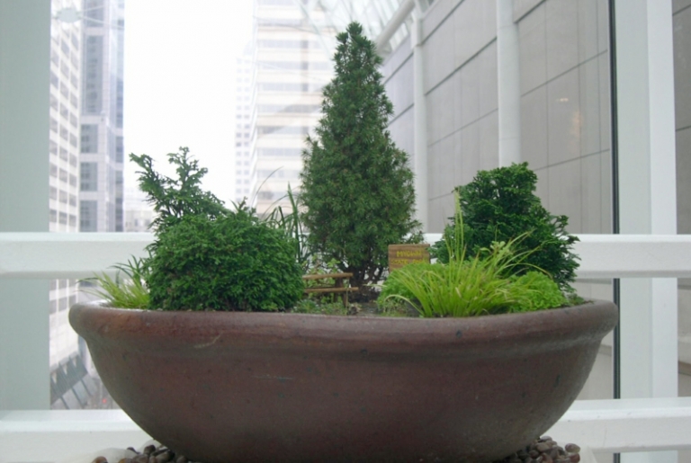 appui-fenetre-décoré-jardin-miniature-plantes-naines-vasque-pierre