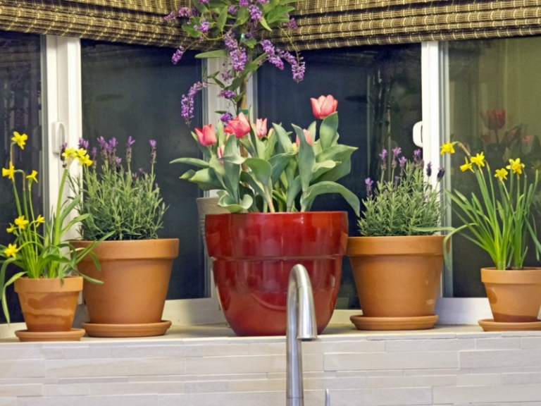 appui-fenetre-intérieur-cuisine-décoré-fleurs-printanières-pots
