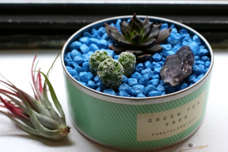 appui de fenêtre intérieur décoré-plantes-succulentes-cactus-gravier-bleu