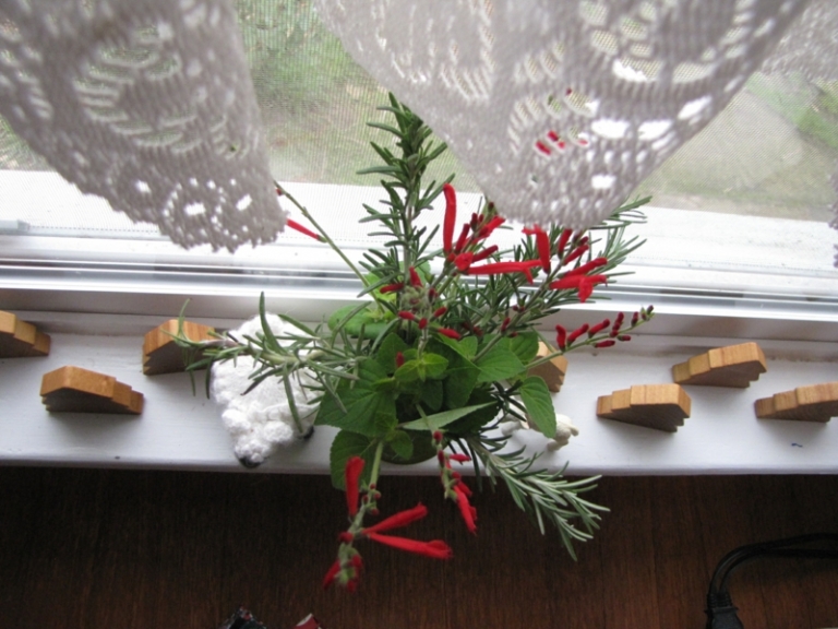 appui-fenetre-intérieur-décoré-sapins-bois-romarin-fleurs-rouges-vase