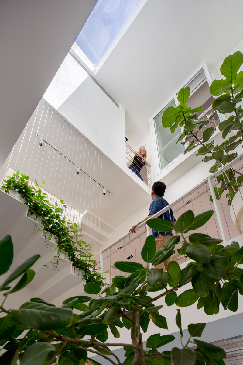 canapé-modulable-plafond-puits-lumière-belle-hauteur-plafond-plantes-décoratives