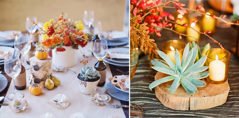 decoration-florale-table-mariage-plantes-succulentes-mini-citrouilles-poires-roses-branches-fleuries