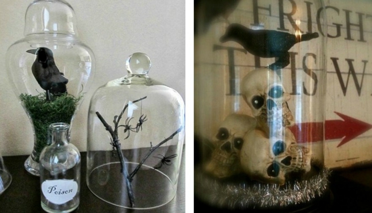 déco-Halloween-maison-tête-mort-oiseau-noir-bocal-verre-transparent
