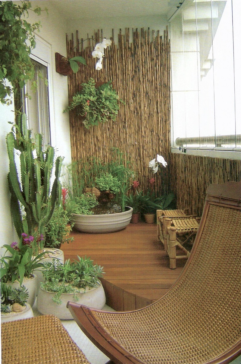 décoration-balcon-palissade-bambou-cactus-orchidée