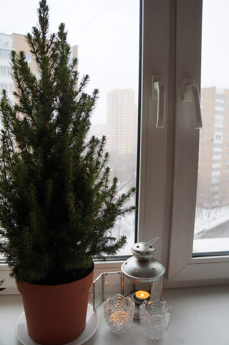 décoration-fenêtre-Noël-plante-pot-argile-lanterne-métallique