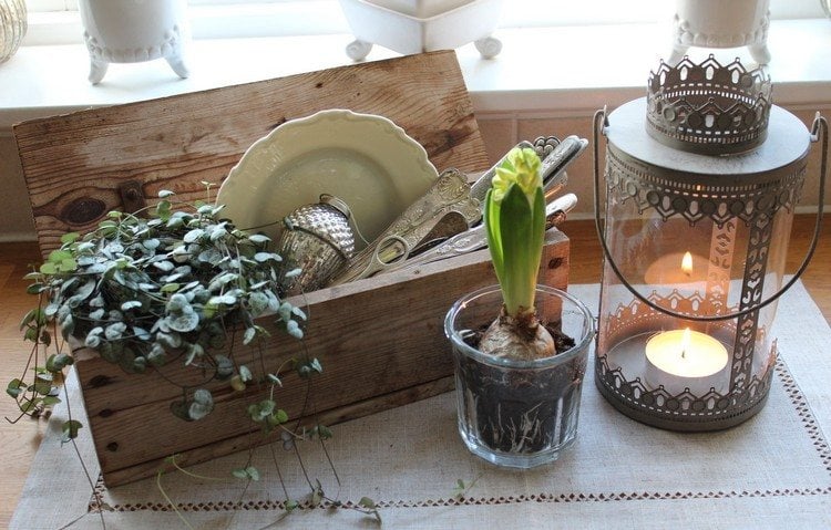 décoration-fenêtre-Noël-plante-vaisselle-coffre-lanterne-décoratifs