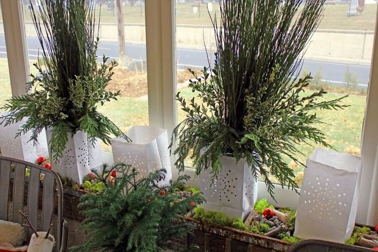 décoration fenêtre Noël plantes-pots-blancs