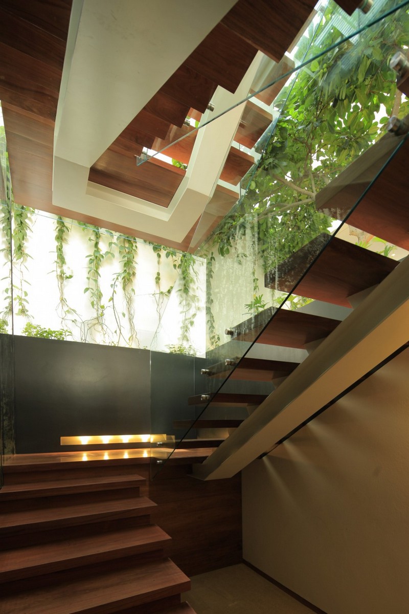 escaliers-bois-marches-bois-garde-corps-verre-eclairage-indirect-plantes-vertes escaliers en bois