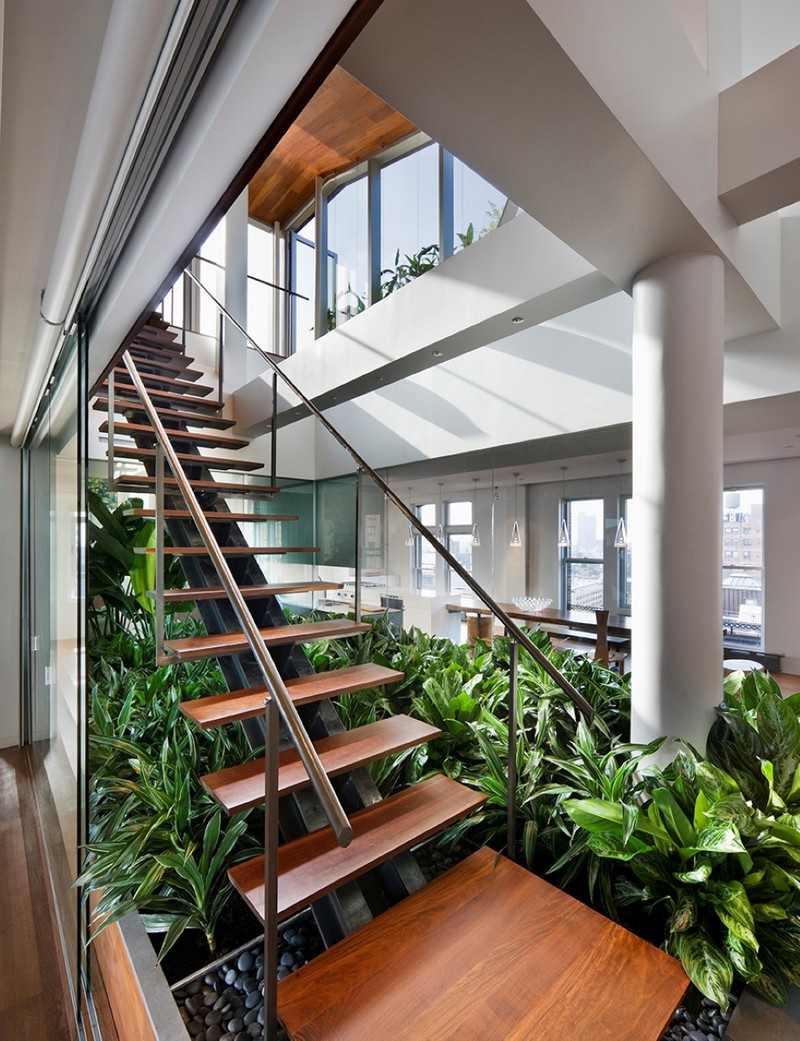 escaliers-bois-marches-bois-limon-central-plantes-vertes escaliers en bois