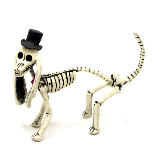 fête-morts-squelette-chien-décorative
