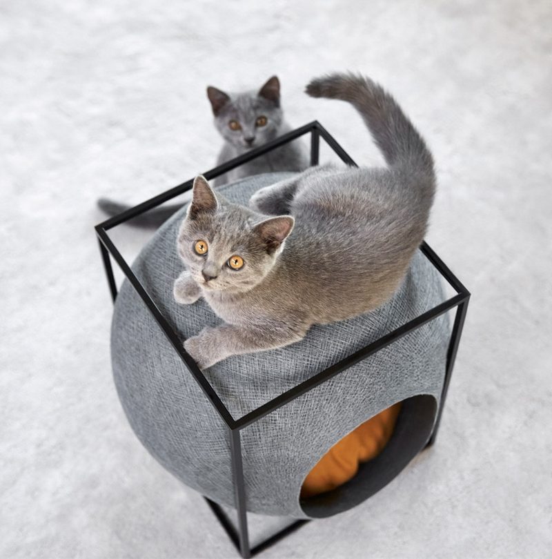 Lit Pour Chat Original 3 Modeles Confortables Comme Un Cocon