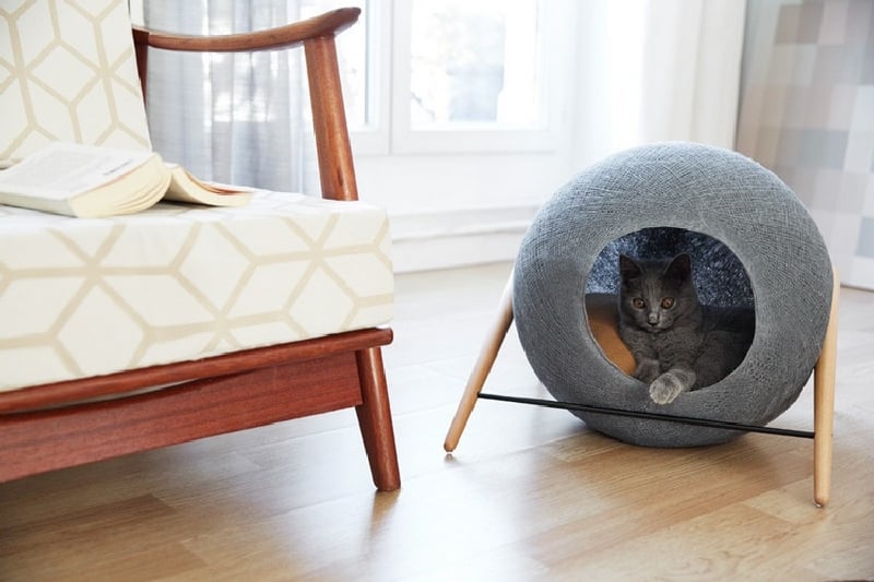 lit pour chat original forme sphère-coton-pieds-bois