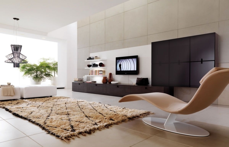 rangement-salon-moderne-meubles-bois-tapis-ethnique