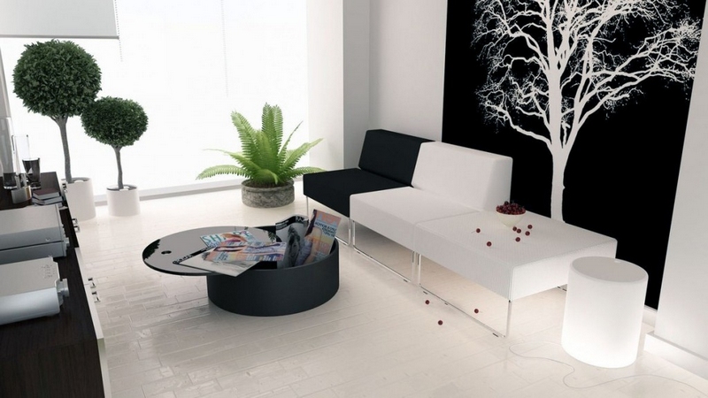 salon-blanc-noir-design-moderne-décoré-plantes-vertes-pots