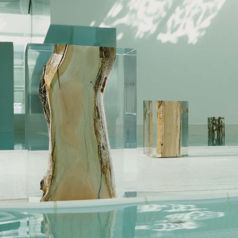 table de salon design tronc bois massif résine acrylique