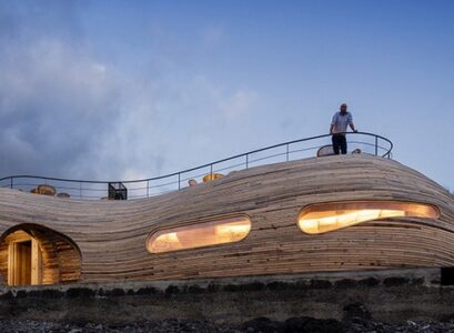 architecture-organique bar forme baleine fenêtres allongées