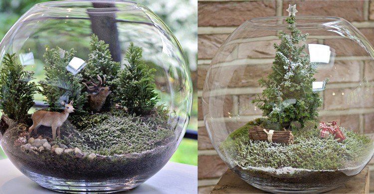 Decoration Aquarium Sans Bulles Decoration Aquarium Sans Bulles