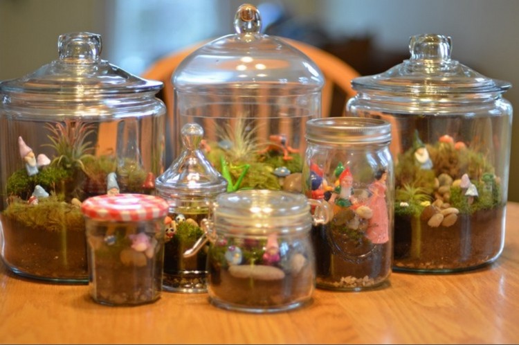 boules-Noël-verre-pots-biscuits-couvercles-verre-mini-terrariums-plantes