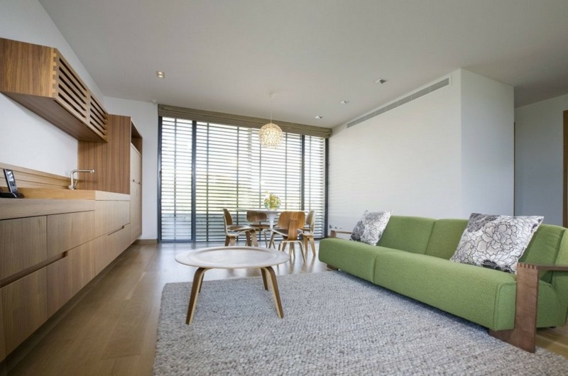 canapé-vert-tissu-chiné tapis gris meubles bois massif aire ouverte