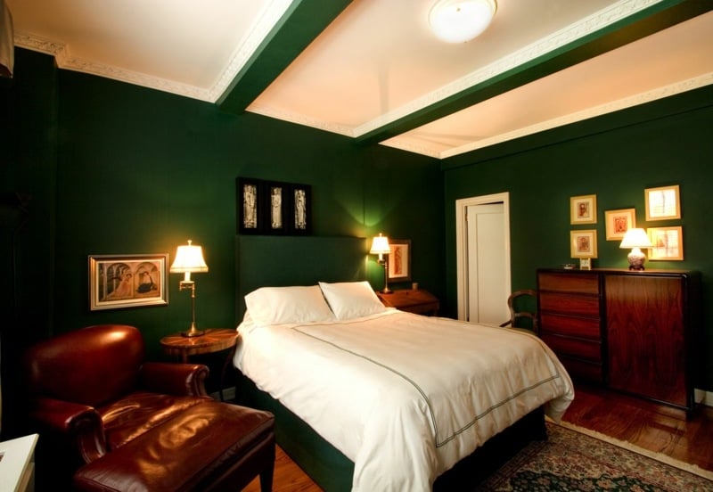 couleurs-feng-shui-murs-vert-foncé-mobilier-cuir-marron-foncé