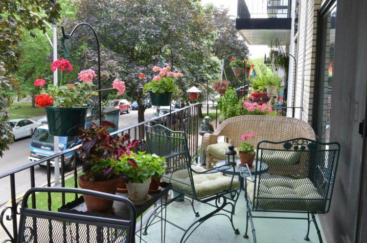 Fleurs balcon exposé nord et sud créez un paradis verdoyant Balcon désign Plantas