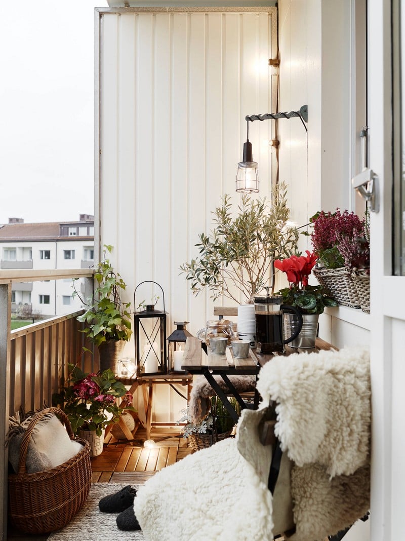 fleurs-balcon-hiver-bruyere-hiver-cyclamen-couverture-tapis