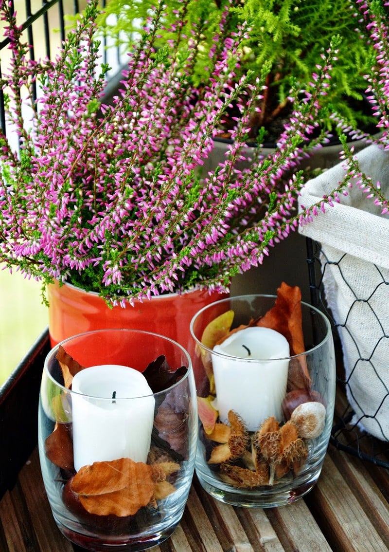 fleurs-balcon-hiver-bruyere-pot-terre-cuite-bougies fleurs pour balcon