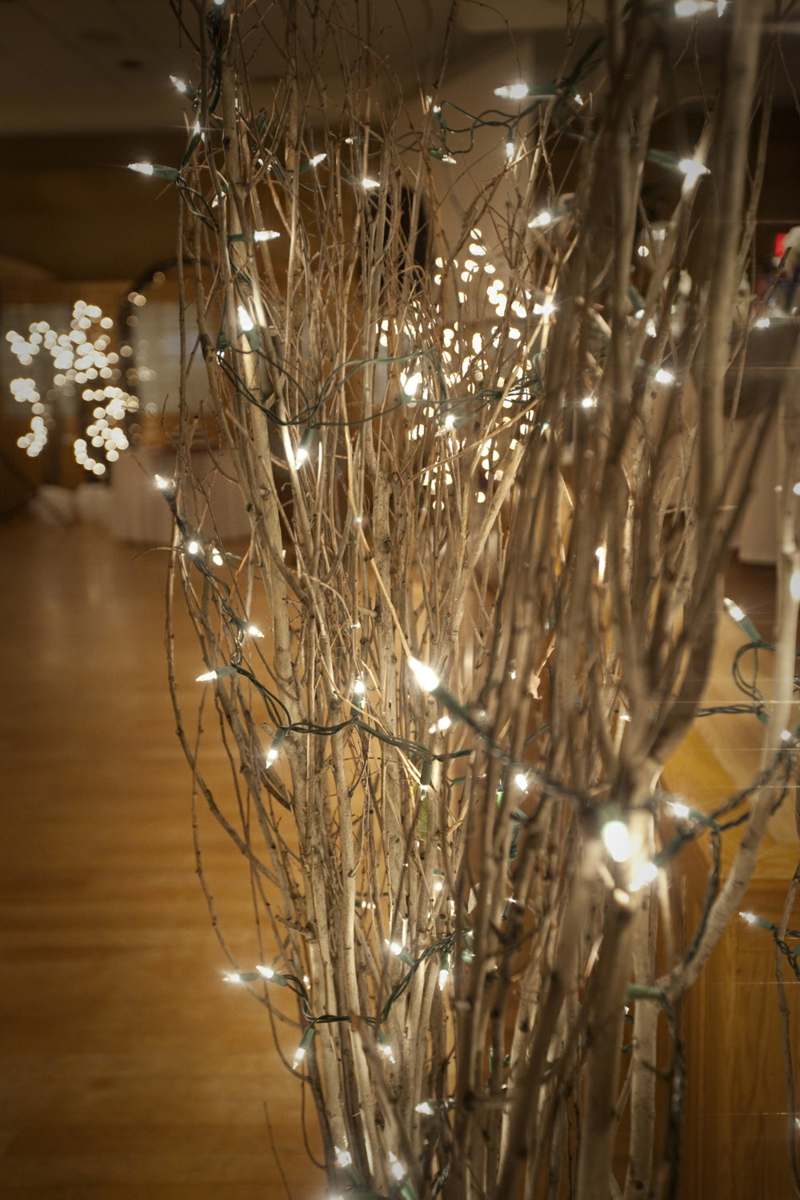 guirlande lumineuse Noël branches-decoratives