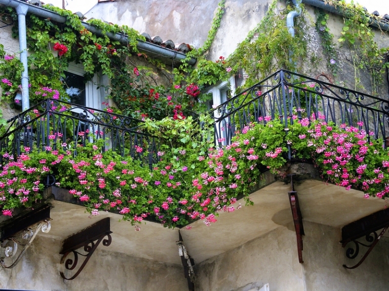 jardinière-balcon-fleuri-plantes-fleurs-retombantes-grimpantes