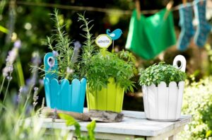 jardinière-balcon-mignonne-aspect-seau-bois-peint-couleur