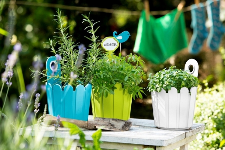 jardinière-balcon-mignonne-aspect-seau-bois-peint-couleur