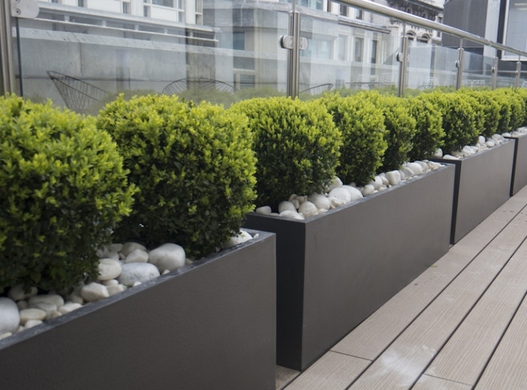 jardinières-balcon-toit-terrasse-rectangulaires-poser-sol-buis-boules