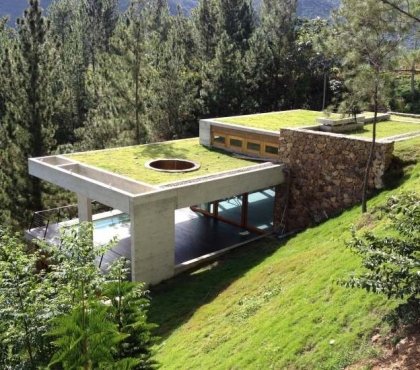 maison bio climatique forêt toit-terrasse végétalisé