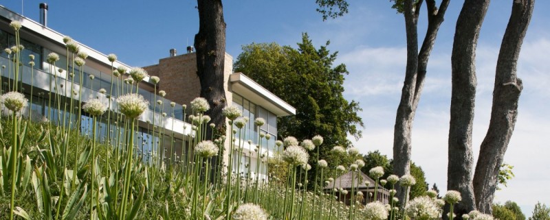 maison-eco-energetique-facade-pierre-naturelle-jardin 