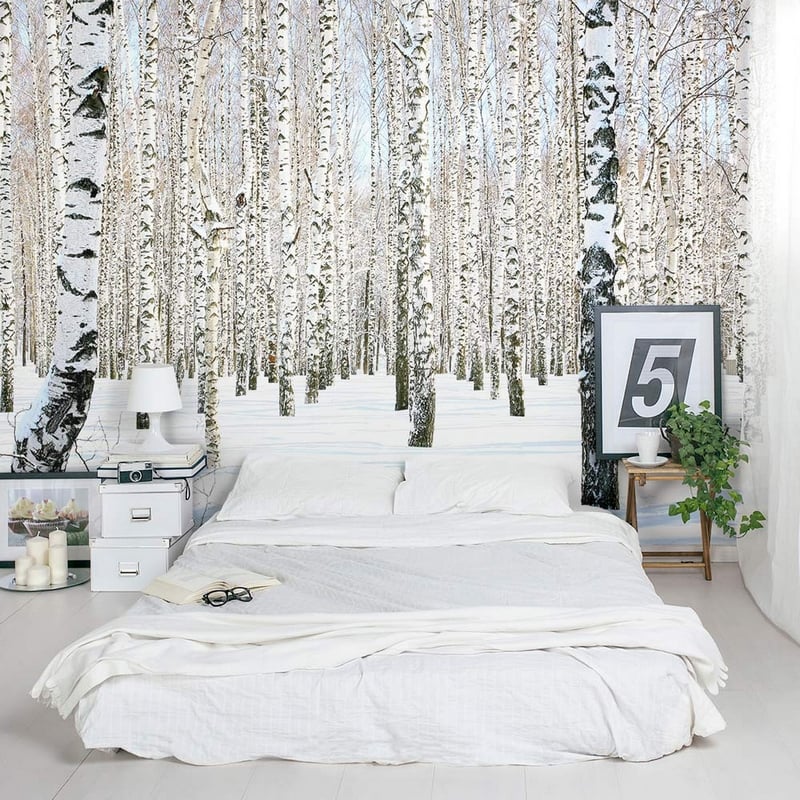 poster-mural-nature-forêt-bouleaux-hiver-chambre-adulte-scandinave