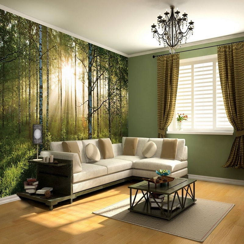 poster-mural-nature-forêt-bouleaux-salon-style-classique