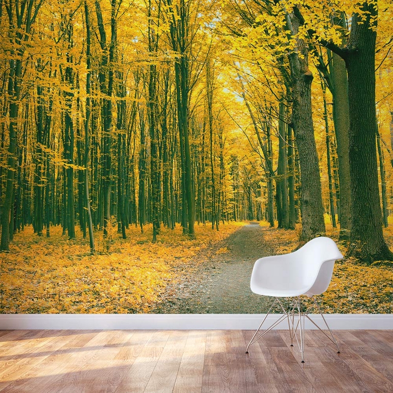 poster-mural-nature-forêt-dorée-automne-sentier-chaise-design-Eames