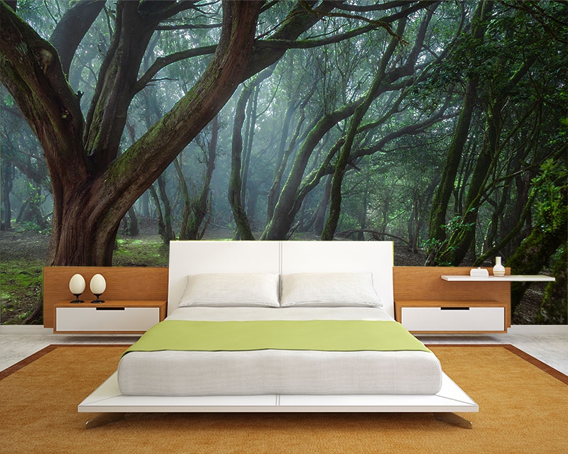 poster-mural-nature-forêt-lugubre-chambre-coucher-feng-shui