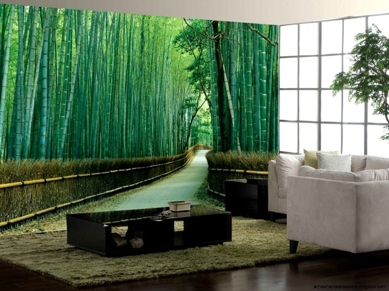 poster mural nature sentier forêt bambou-salon-feng-shui