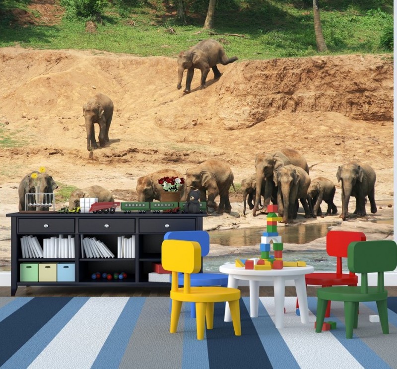 poster-mural-theme-afrique-elephants-riviere-chambre-enfant