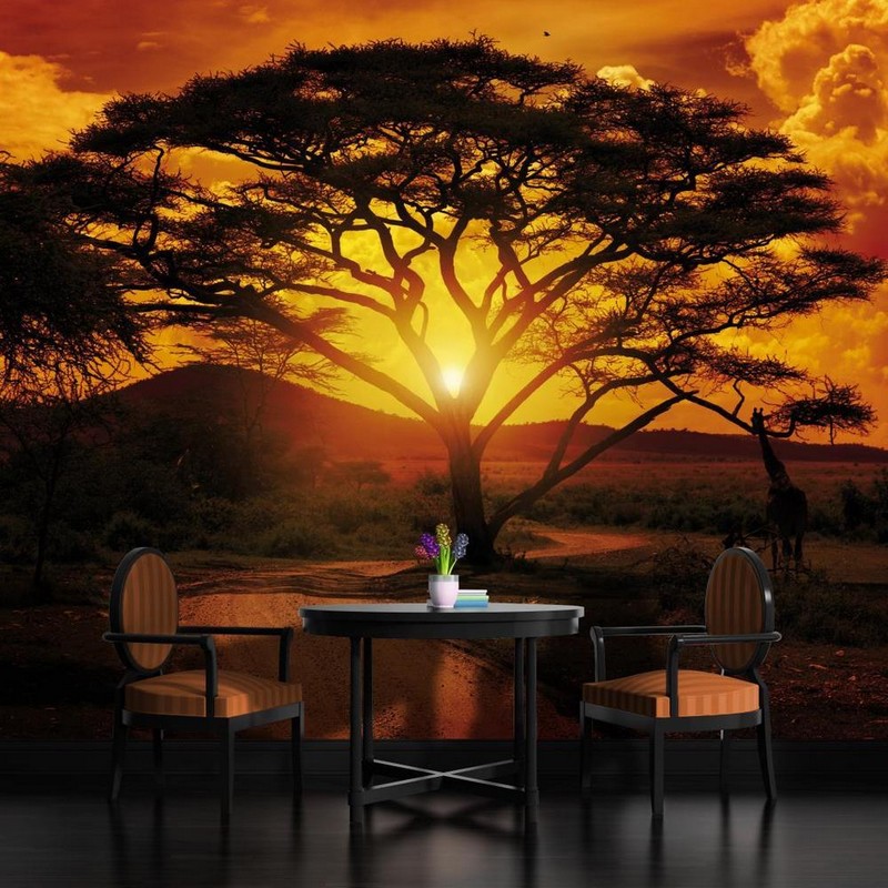 poster-mural-theme-afrique-paysage-arbres-coucher-soleil poster mural