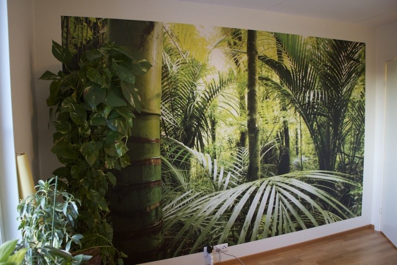 poster-mural-xxl-vert-motif-végétation-sauvage