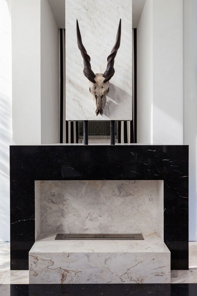 salon-noir blanc cheminée marbre trophée crane animal cornu