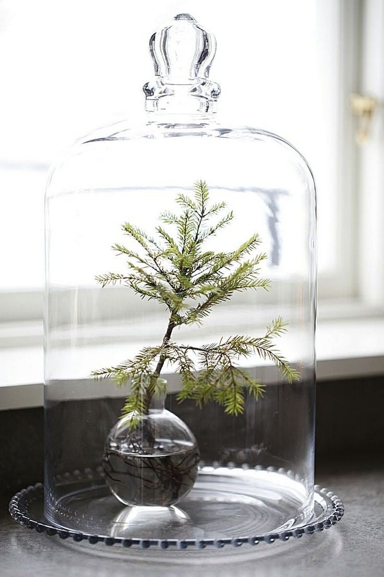 cloche-verre-décorer-Noël-esprit-nature-branche-sapin-vase-sphère