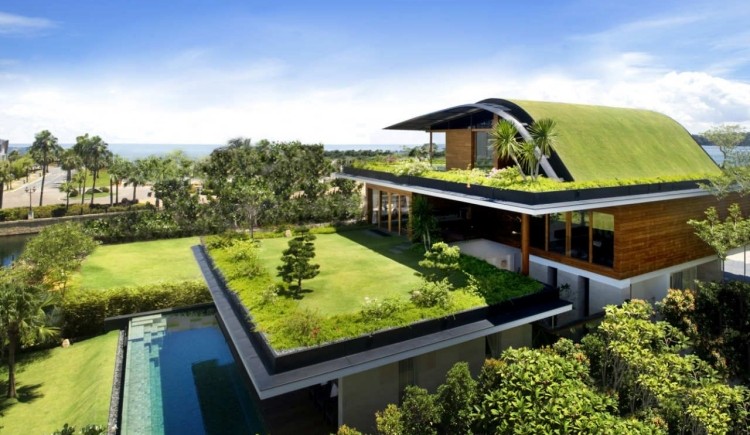comment-aménager-son-jardin-maison-vertes-terrasse-moderne
