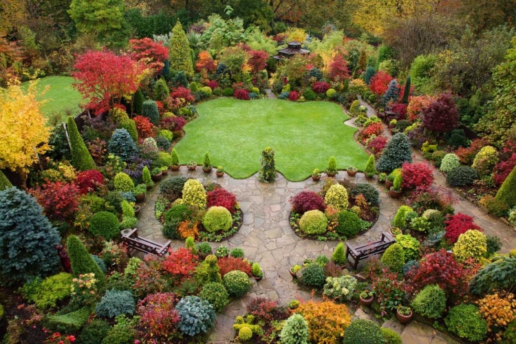 comment-aménager-son-jardin-moderne-exotique-arbustes-colorés