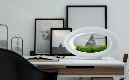 lampe-table-sans-fil-bureau-design-unique-led-herbe